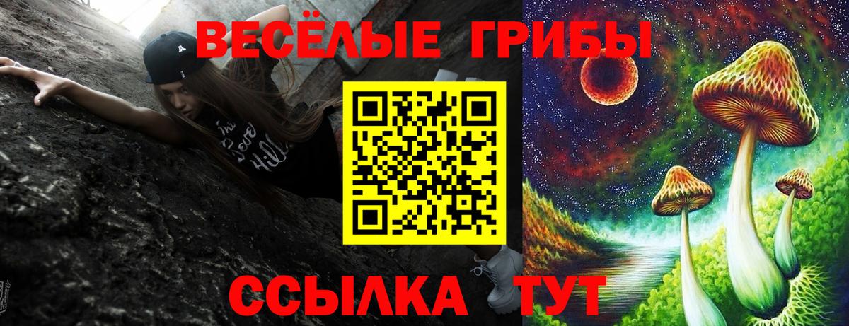 Галлюциногенные грибы MAGIC MUSHROOMS  Вход с VPN  Сунжа 